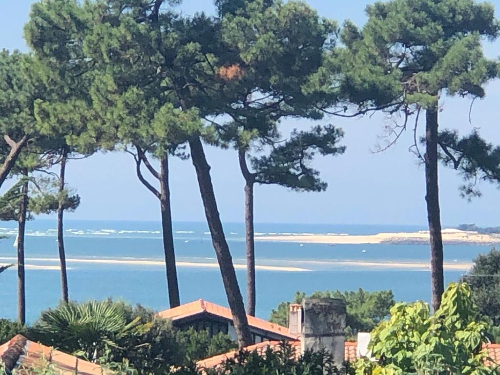 Chambre D'Hotes Pyla Sur Mer La Teste-de-Buch Exterior foto