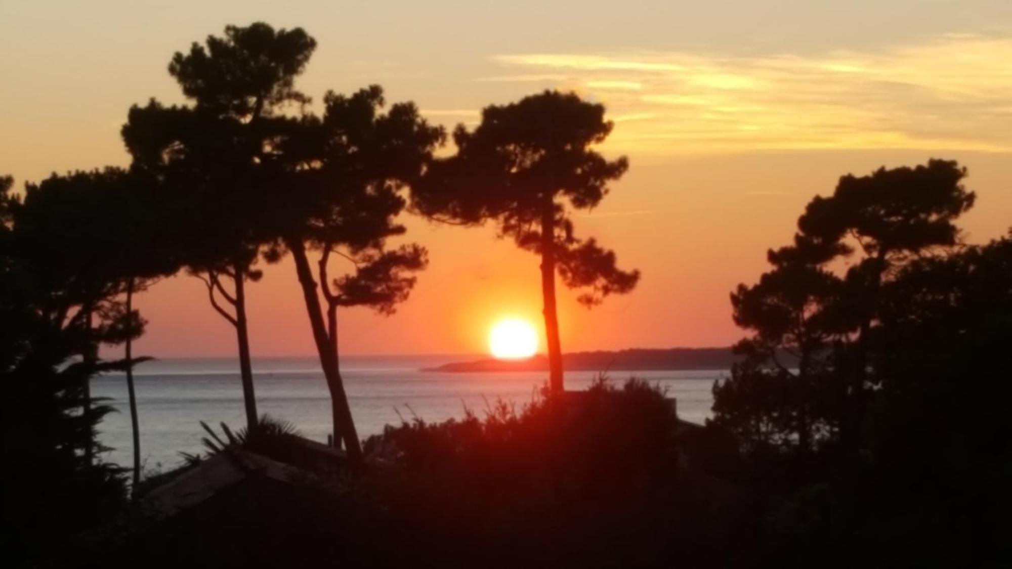 Chambre D'Hotes Pyla Sur Mer La Teste-de-Buch Exterior foto